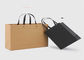 CMYK Color Printed Brown Kraft Paper Gift Bags , Twist Rope Paper Bags